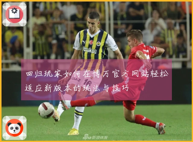 回归玩家如何在博万官方网站轻松适应新版本的玩法与技巧