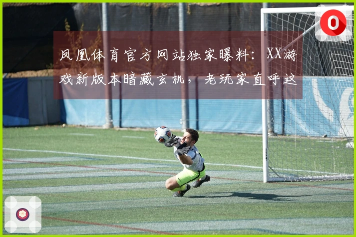 凤凰体育官方网站独家曝料：XX游戏新版本暗藏玄机，老玩家直呼这次大有不同！