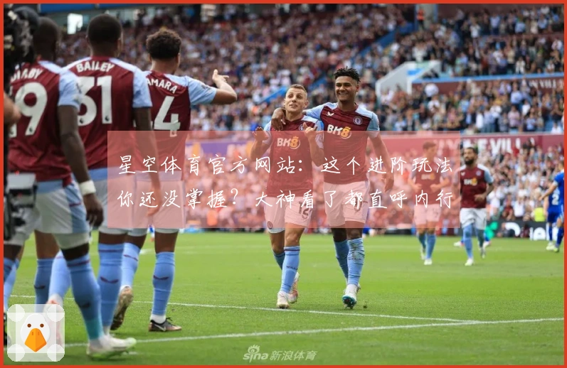 星空体育官方网站：这个进阶玩法你还没掌握？大神看了都直呼内行，赶紧来学！