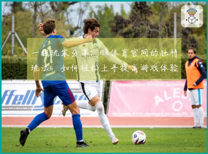 一线玩家分享：mk体育官网的独特玩法，如何轻松上手提高游戏体验